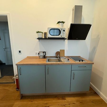 Boutique Hotel Pension Luisengruen Kueche 1Gbs Wlan Netflix Disney Magentatv Chemnitz Extérieur photo