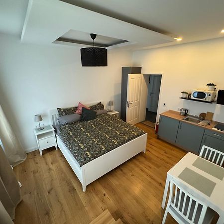 Boutique Hotel Pension Luisengruen Kueche 1Gbs Wlan Netflix Disney Magentatv Chemnitz Extérieur photo