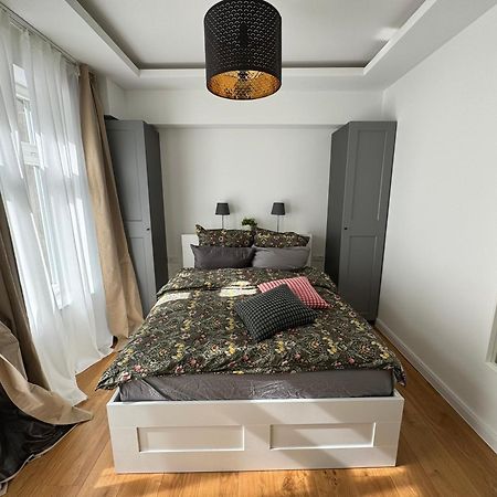 Boutique Hotel Pension Luisengruen Kueche 1Gbs Wlan Netflix Disney Magentatv Chemnitz Extérieur photo
