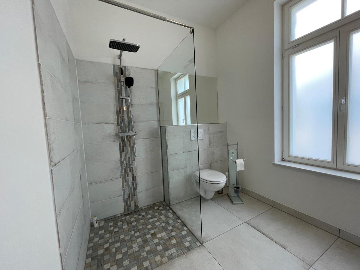 Boutique Hotel Pension Luisengruen Kueche 1Gbs Wlan Netflix Disney Magentatv Chemnitz Extérieur photo