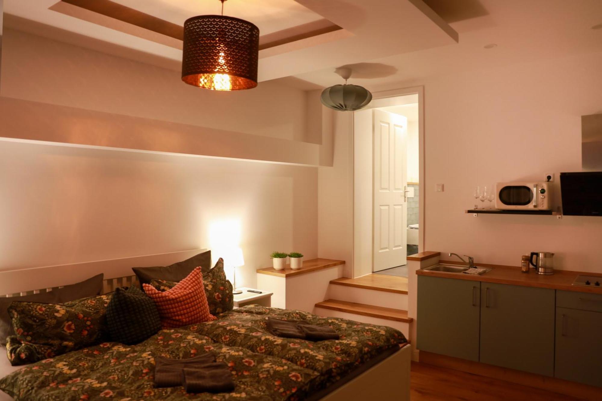 Boutique Hotel Pension Luisengruen Kueche 1Gbs Wlan Netflix Disney Magentatv Chemnitz Extérieur photo