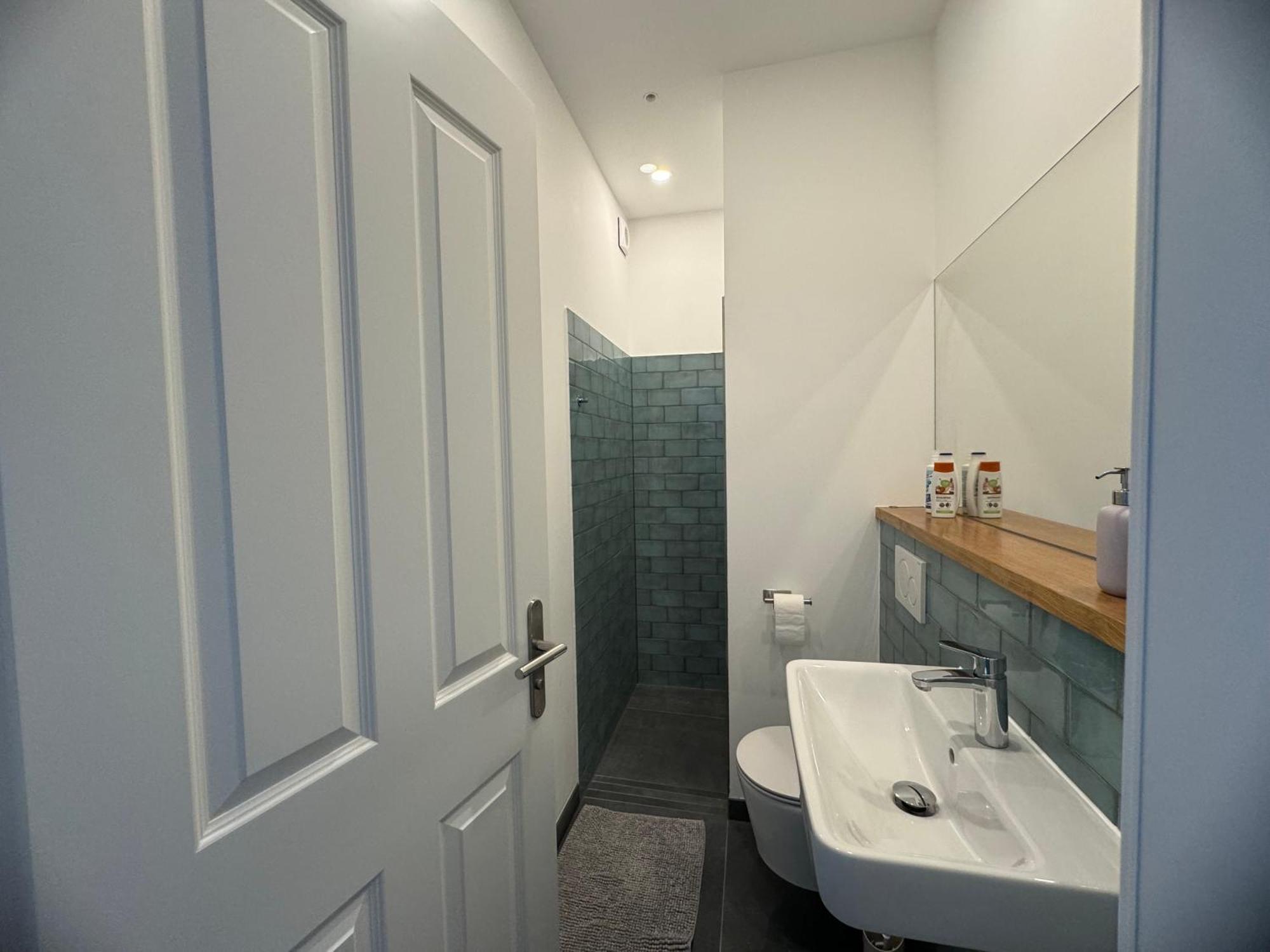 Boutique Hotel Pension Luisengruen Kueche 1Gbs Wlan Netflix Disney Magentatv Chemnitz Extérieur photo