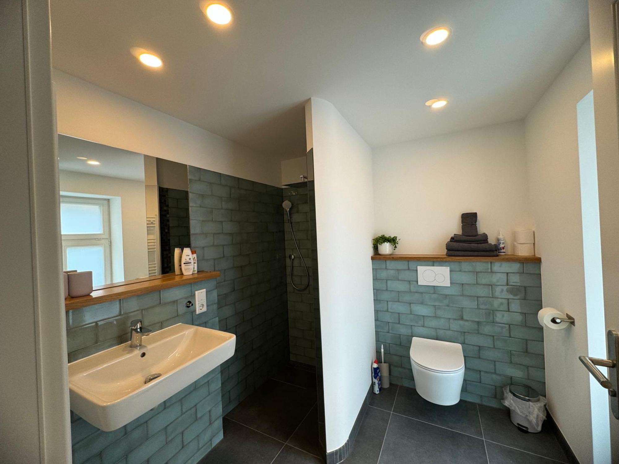 Boutique Hotel Pension Luisengruen Kueche 1Gbs Wlan Netflix Disney Magentatv Chemnitz Extérieur photo